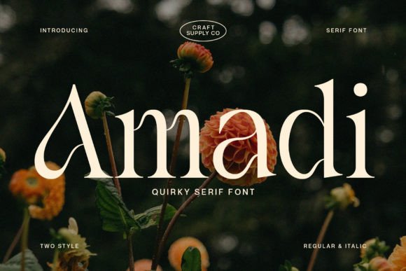 Amadi: A Quirky Serif Font
