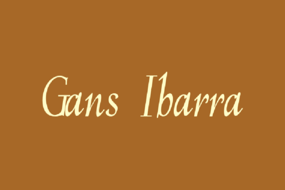 Gans Ibarra: A Font That Elevates Your Brand